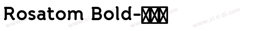 Rosatom Bold字体转换